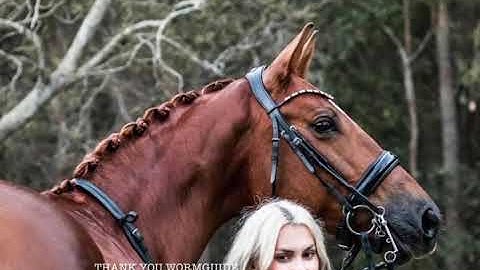 Understanding a Faecal Egg Count Test For Horses