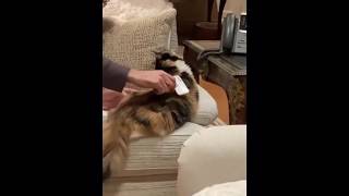 Howard Stern & 'Atrophy' Wife Beth Playing Stupid For Instagram