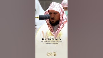 واللَّهُ يعلم متقلبكم ومثواكُم   تلاوة خاشعة للشيخ د  ماهر المعيقلي من سورة محمد