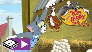 Country chicken farmer tom's wont stop laying a huge mass quantities
of eggs in response to jerry playing hip hop. 🚩 subscribe the
boomerang uk 😎 ...
