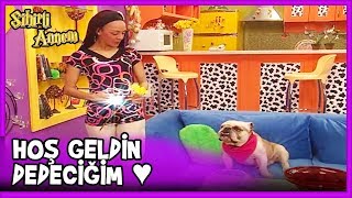 Taci, Eda'nın Evine Gitti  - Sihirli Annem 54. Bölüm