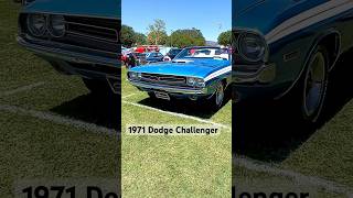 1971 Dodge Challenger 426 Hemi Engine #musclecar #dodgecharger #mopar #streetrod #shortsvideo