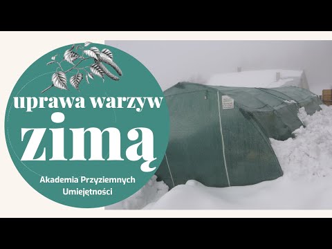 Uprawa warzyw zimą (nawet na 850 m n.p.m.)