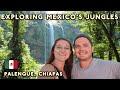 Palenque: An Adventurer's Paradise! (Chiapas, Mexico Vlog + Guide 2021)