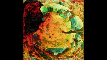 [FREE] Loop Kit / Sample pack 2022 "NUCLEUS" - Cubeatz, Pyrex Whippa, Southside, Lil Keed, Wheezy