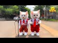 Animasi kucing sekolah nyanyi syair rahmatun lilalameen kittydav kucing warna warni gemoy