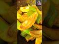 Mango fruit @Laibalifestyle12 #reels #shorts #viral #viralvideo #mango #short #asmr