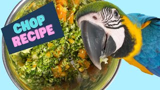 Perfect chop recipe for a macaw | Shelby #shorts