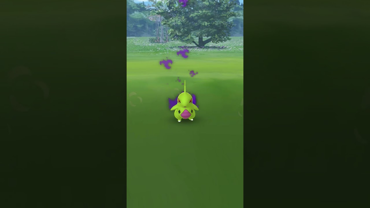 Shiny Shadow Larvitar!(My First!)