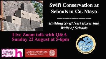 Swift Conservation in Schools in Co  Mayo - Built-in nest boxes