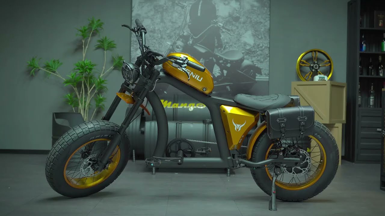 BIGNIU BGX rear rack bag installation tutorial