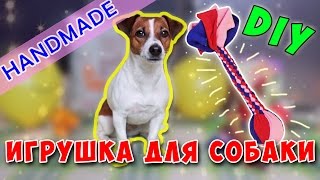 DIY КАК СДЕЛАТЬ КРУТУЮ ИГРУШКУ ДЛЯ СОБАКИ | ИГРУШКИ СВОИМИ РУКАМИ | ХЕНДМЕЙД