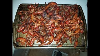 Crawdad fishing in Washington