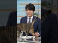【放送事故】真面目なニュース番組に現れた可愛すぎる邪魔者