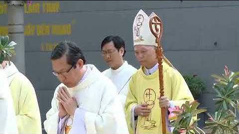 Từng Bước Con Đi Lên || Quý Sơ Dòng Đaminh Tam Hiệp