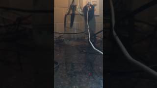 HiLo testing