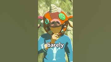 Uh...is this a glitch? (BotW) #shorts