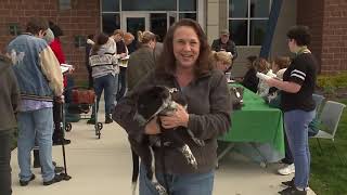 You can adopt a pet for $25 in Michigan this Saturday