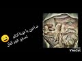 حاله واتس محمد سلطان صاحبي دا مهما اتالم        حالتي