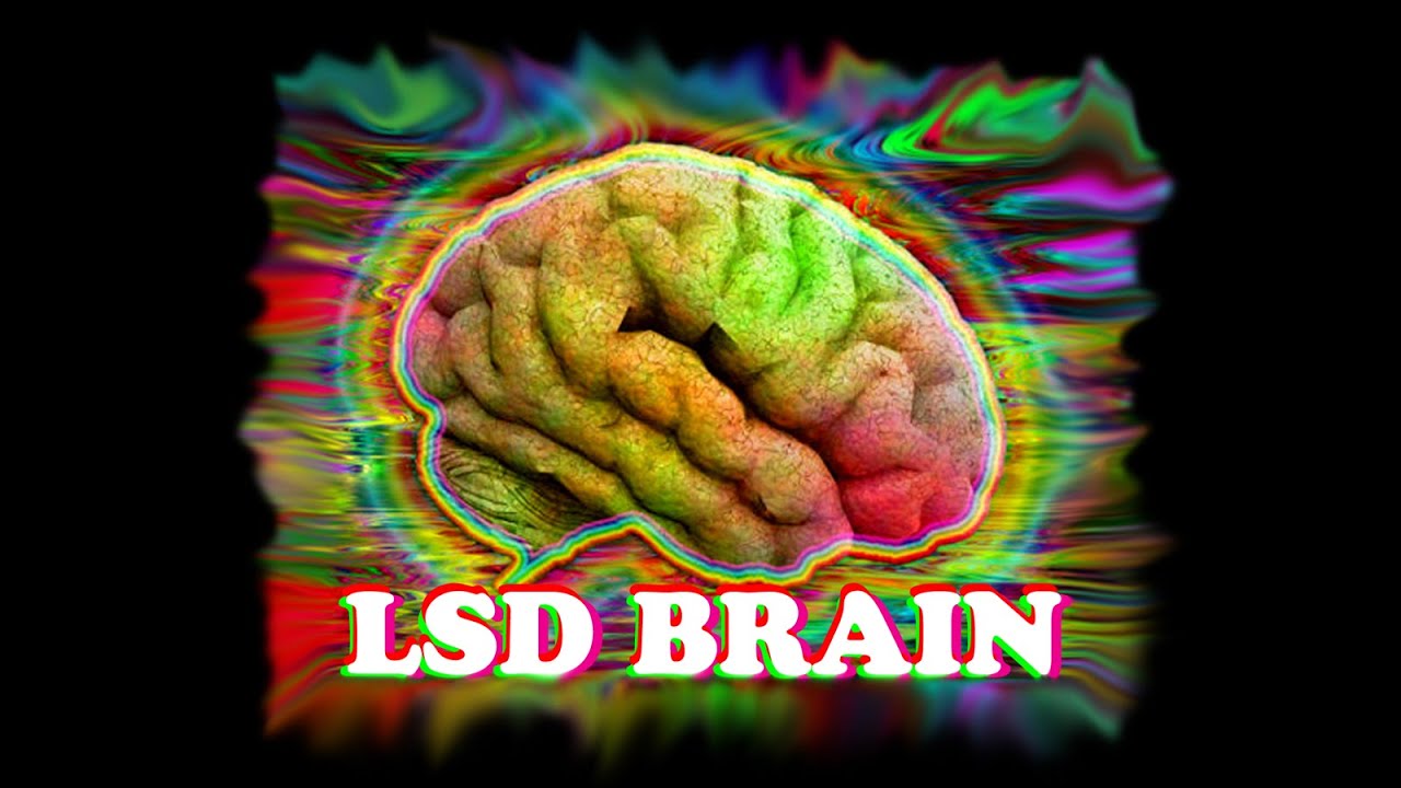 Best darknet market for lsd