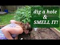 Planting Vegetables / Sniff That Dirt Hole!