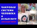 Чакровая система человека и бульбулятры – Александр Тюрин. новое видео