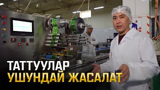 «Ата» фабрикасын Умар Даданов текшерди | Не Сахар