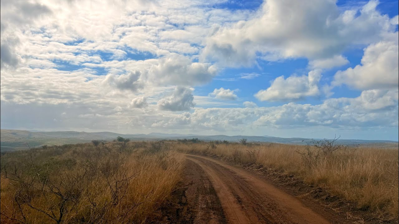 (ZA) Sudafrica Family - Avventure nel mondo 2025-07