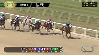 February 11, 2026  Race 5