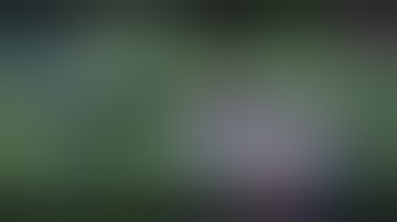 SCRIPT SKIN CHOU ELITE TO KOF NO PASSWORD#fypシ #fyp #youtubeshorts