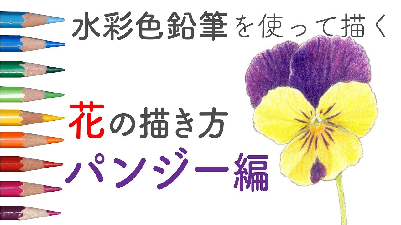 How To Draw A Pansy Flower 花の描き方 水彩色鉛筆で描くパンジー ビオラ Youtube