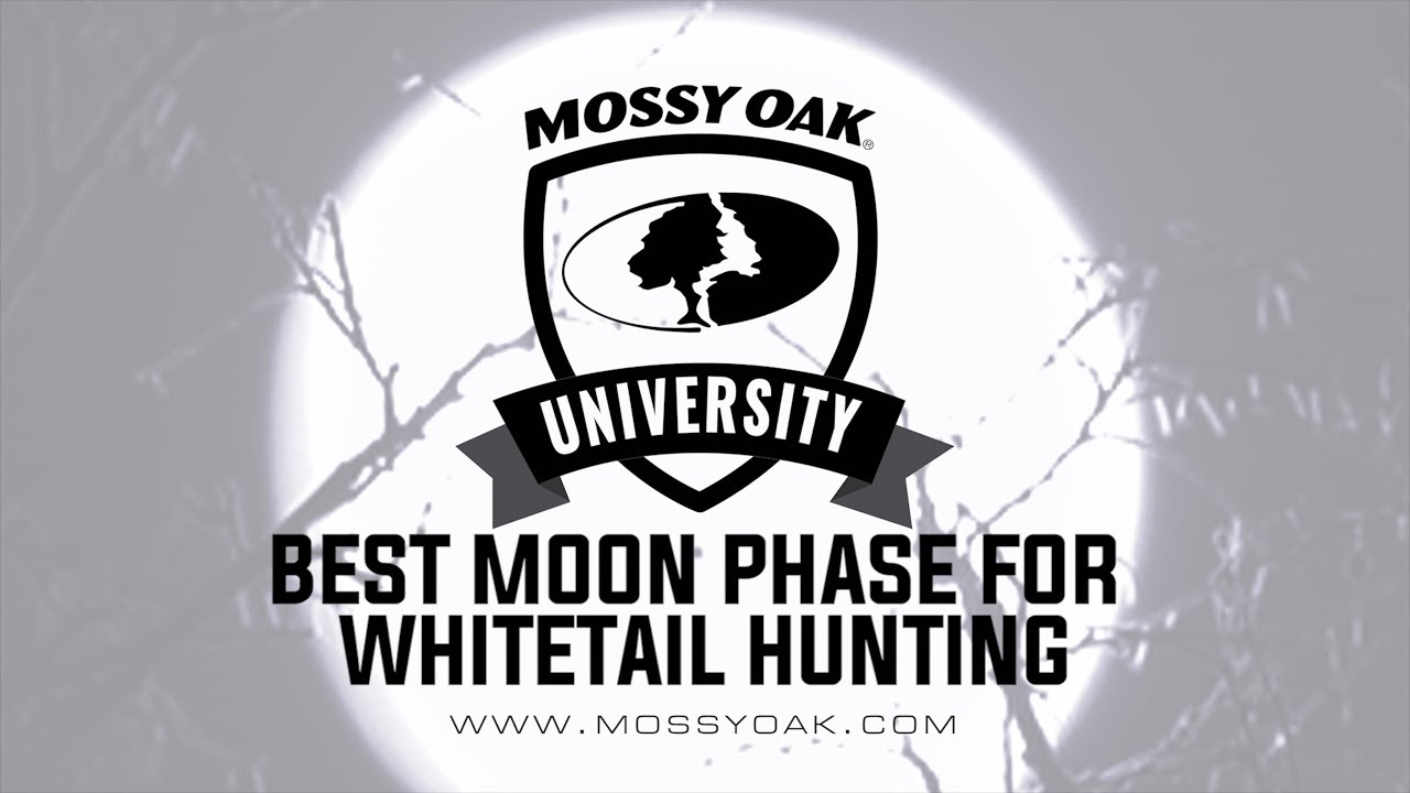 best time to hunt deer moon phase