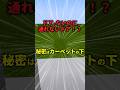 【マイクラ】ドアがないのに通れない空間！？#マインクラフト #マイクラ #ドア