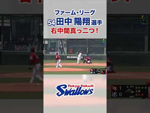 【ファーム・リーグ】田中陽翔選手 右中間真っ二つ！  #swallows #shorts #田中陽翔
