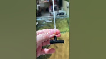 Chọn cái nào ? Lọc váng hay sủi oxy ? sunsun jy-03 #shorts #thuysinh