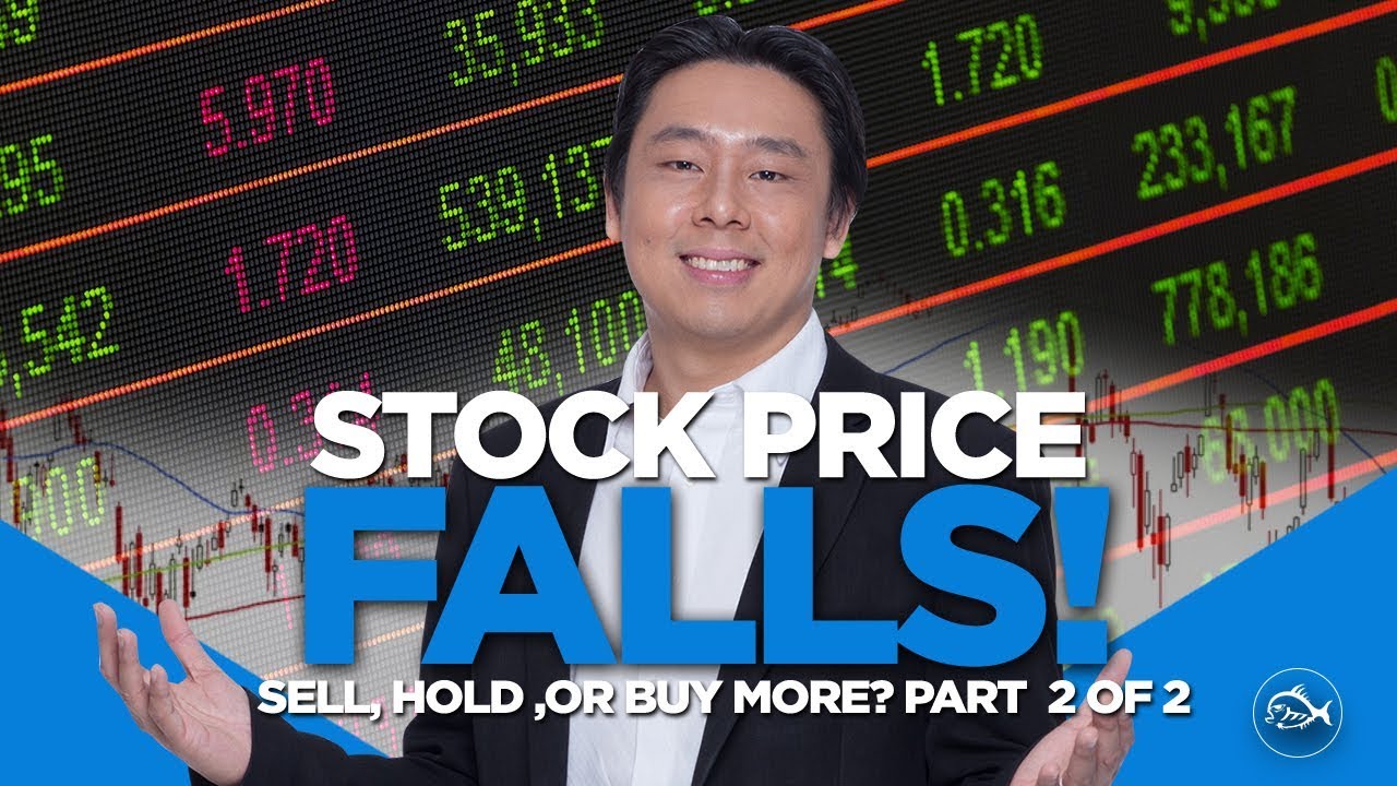 Stock Price Falls! Sell, Hold Or Buy More? Part 2 of 2 Stock Price Falls! Sell, Hold Or Buy More? Part 2 of 2