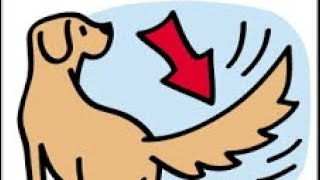 A Tale Of Tails Story With Vocabulary Words