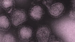 VDH announces first pediatric flu death of season