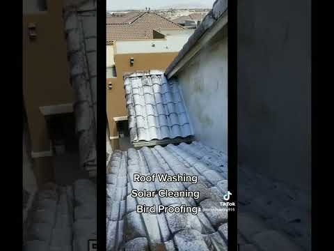Installation of Bird