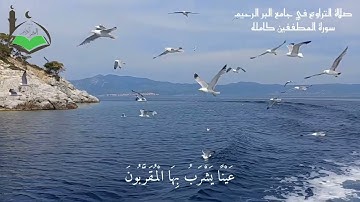 سورة المطففين كاملة ....افتح سمعك وقلبك لهذا النور وهذا الروح