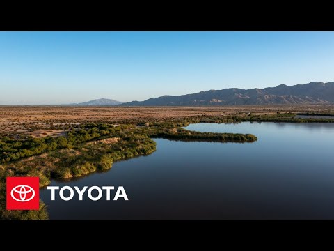 Toyota Teams Up with The Nature Conservancy on Water Conservation in the Colorado River Delta