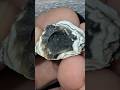 🪸 This Strange rock is hiding a Blacked out Sparkling surprise! #crystals #minerals #gemstone #rock