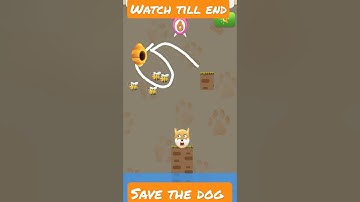 save the dog // all lavel complete #shorts #shortsfeed #gaming