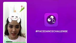 FaceDance Challenge - A game of DiffCat screenshot 4