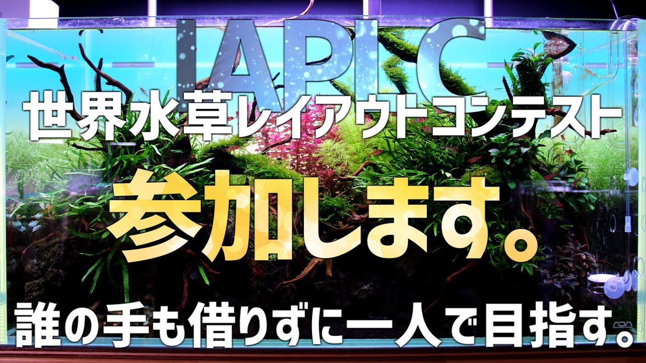New Chapter Begins] Taking on the World Challenge Alone