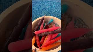 Sadece Gökçen Okurlarının Anlayabileceği Şeylerrrr