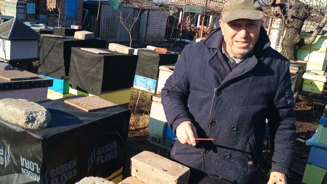 Як зимувати без втрат