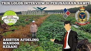 Tips Lolos Tahap Interview Di Perusahaan Kebun Kelapa Sawit!! Asisten Afdeling