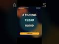 This Fish Has Clear Blood #atlasofawe #curiosity #geographyfacts #geographyfacts #amazingworlds