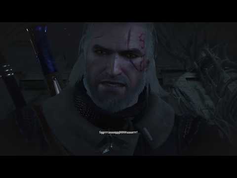 The Witcher 3:  შენ გგონია მომიგე?! არა, სცდები!